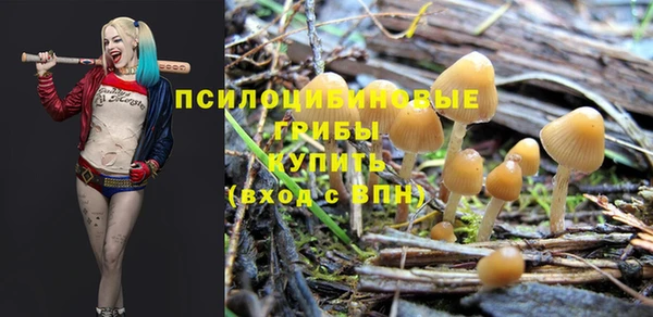 прущая мука Медногорск