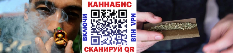 Каннабис сатива  наркошоп  Абаза 